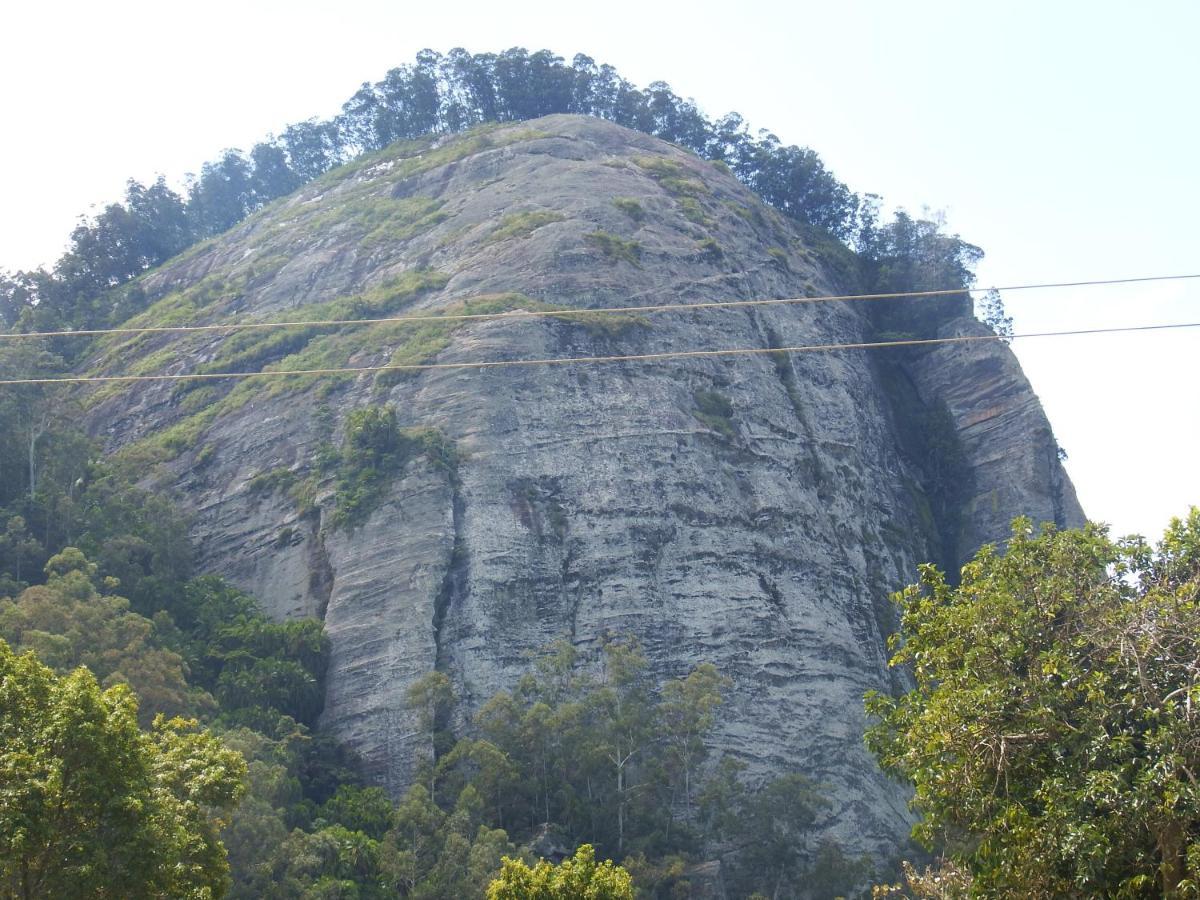 Lavender Garden Hotel Wundanyi Luaran gambar