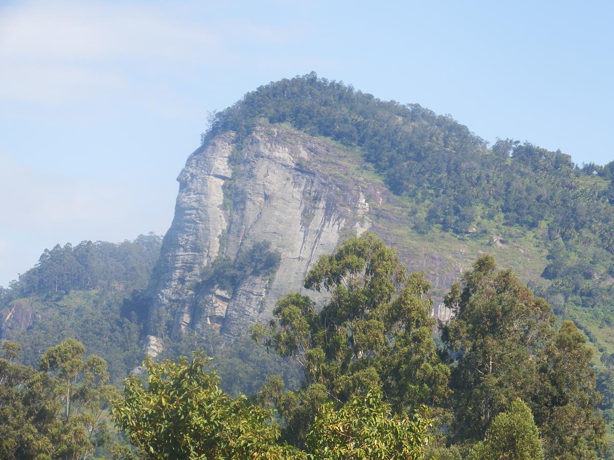 Lavender Garden Hotel Wundanyi Luaran gambar